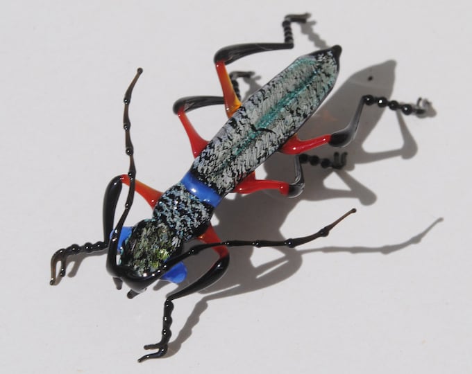 30-12 Phillippino Tiger Beetle