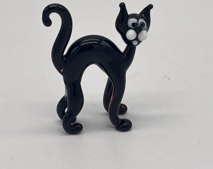 31-00 Black Cat