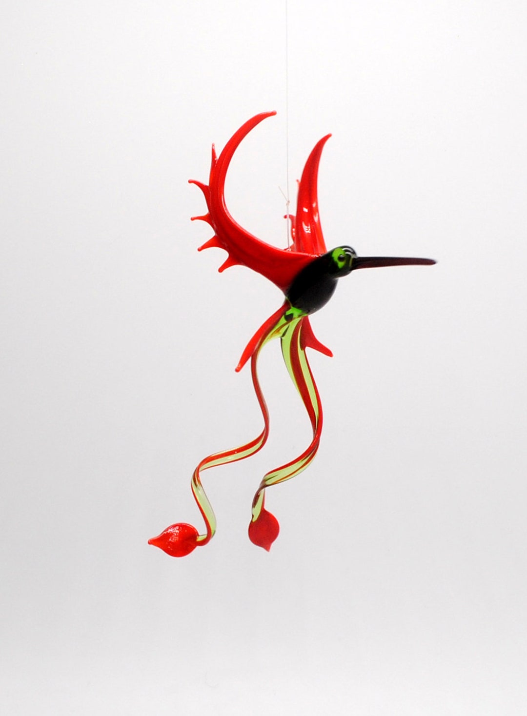 ハミングバード⟡.* A Cinnamon hummingbird looks over its back as it perches