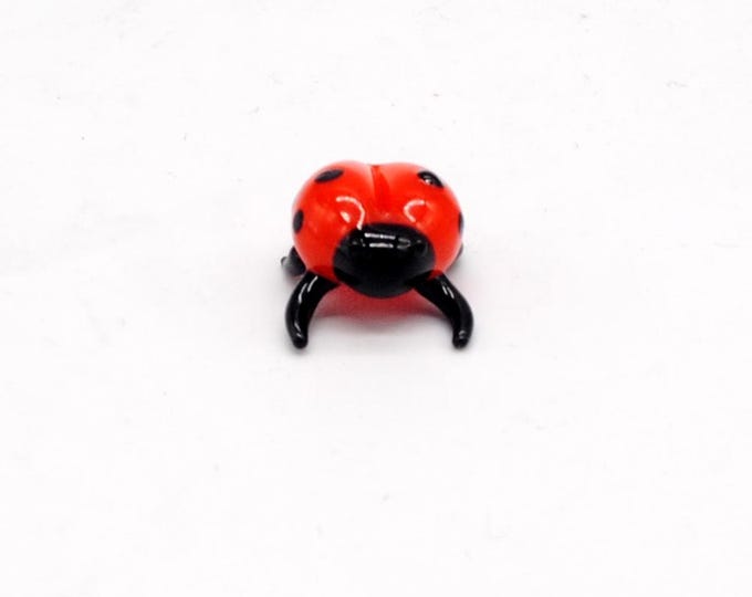 e30-00 Miniature Ladybug