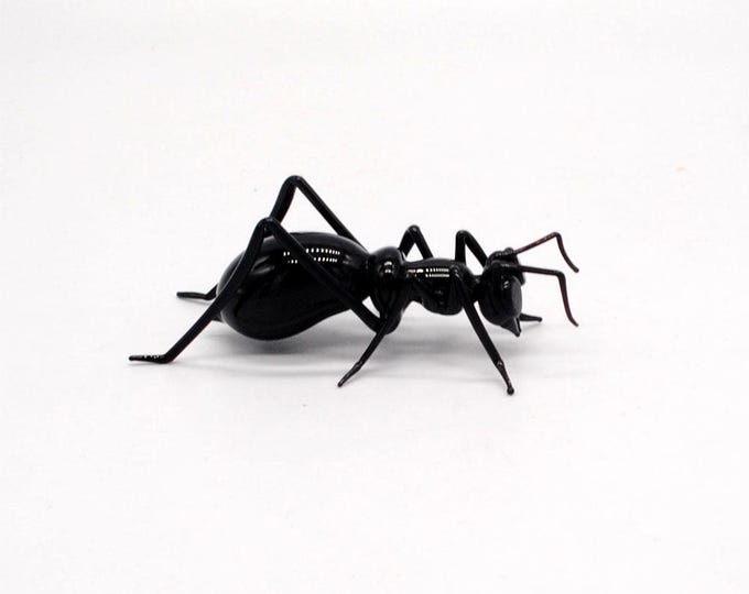 30-12 Ant