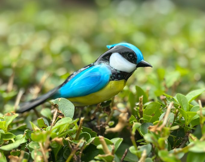 30-34 Chickadee