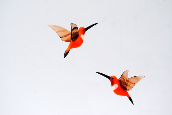 36-255 Rufous Hummingbird