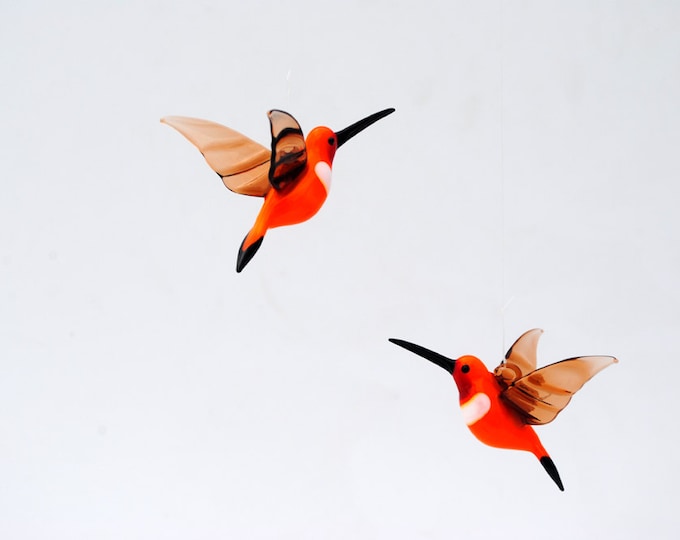 36-255 Rufous Hummingbird