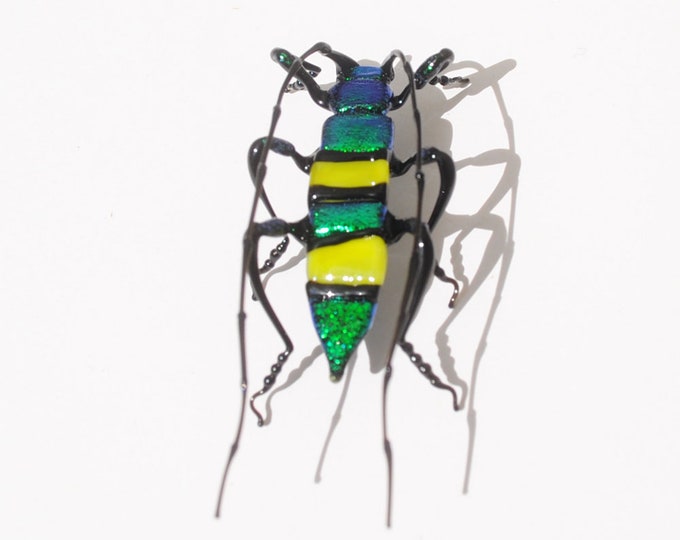 30-12 Sudanese Longicorn Beetle