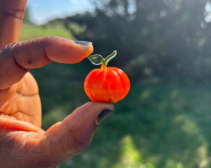 e30-00 Miniature Pumpkin