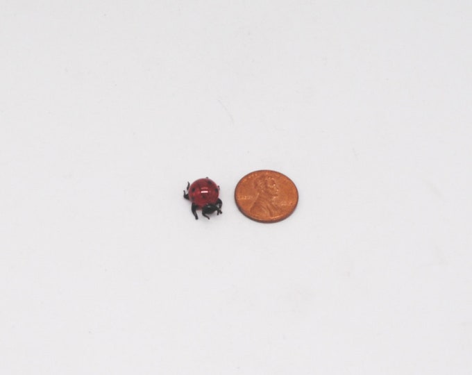 e30-00 Miniature Ladybug