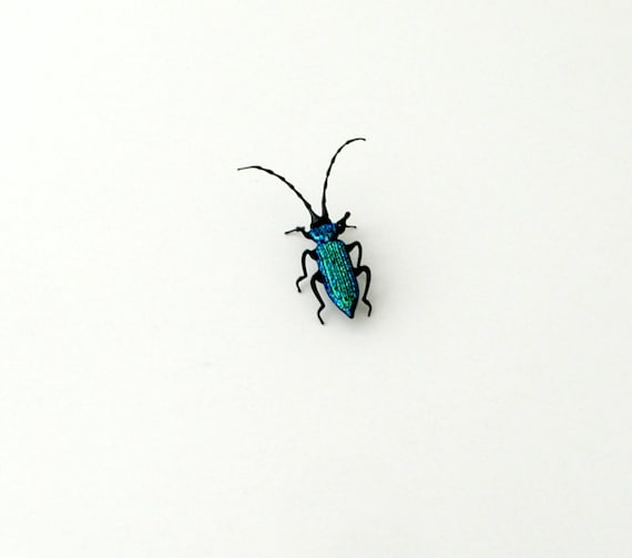 30-12 Wood-Boring Beetle