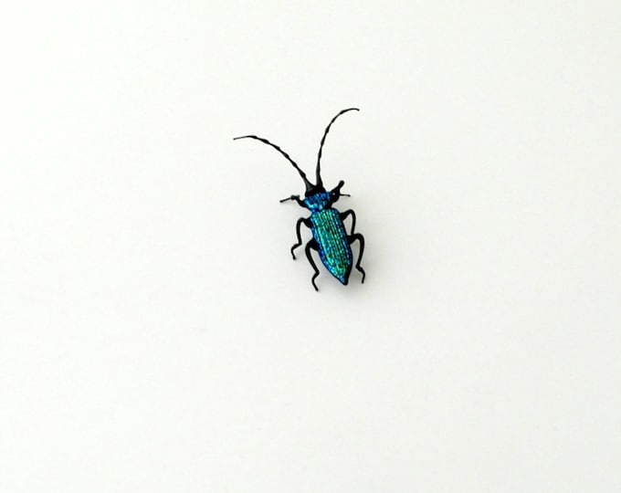 30-12 Wood-Boring Beetle