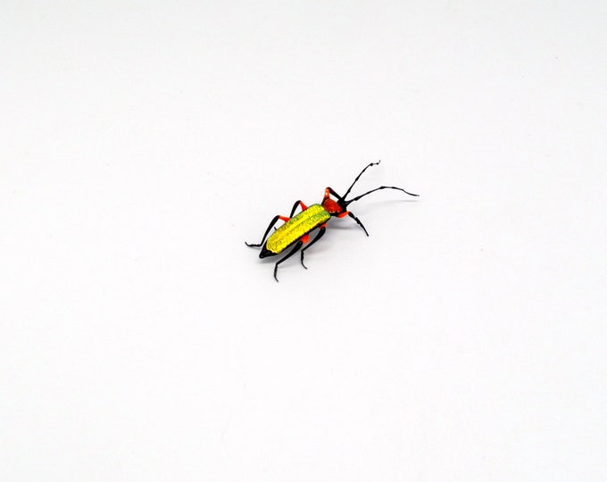 30-12 Texan Longicorn Beetle