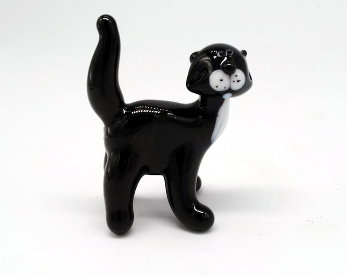 31-00 Black Cat