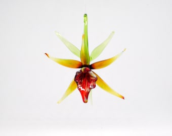 Orchidee