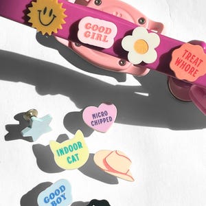 Acrylic Dog Collar Charm: Customizable Pet ID Tag Accessory