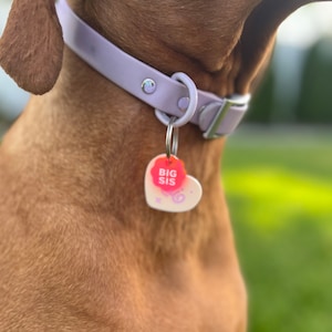 May include: A lavender dog collar with a heart-shaped tag that says "BIG SIS" in pink and red lettering. The tag has a white background with a pink and purple swirl design.