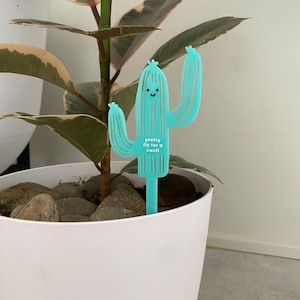 Cute Cactus Plant Pal - pun Plant Pick - Plant Buddy - Decor - Plant Marker - Stake, Uplifting, Houseplant, Gifts for Her, cacti, Lovers