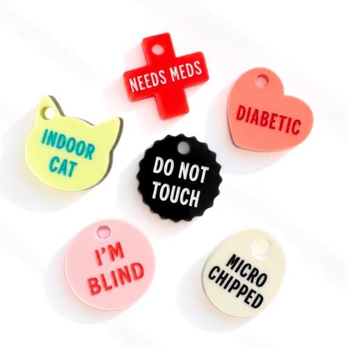 Personalized Pet ID Tag Accessory: Microchip & Allergy Alert
