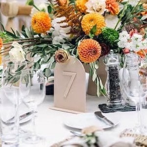 Tan Acrylic Table Numbers • Monotone • Matte • Arched •  Table Number Wedding • Beige, Sand, Decorations • Custom • Wedding Table Number