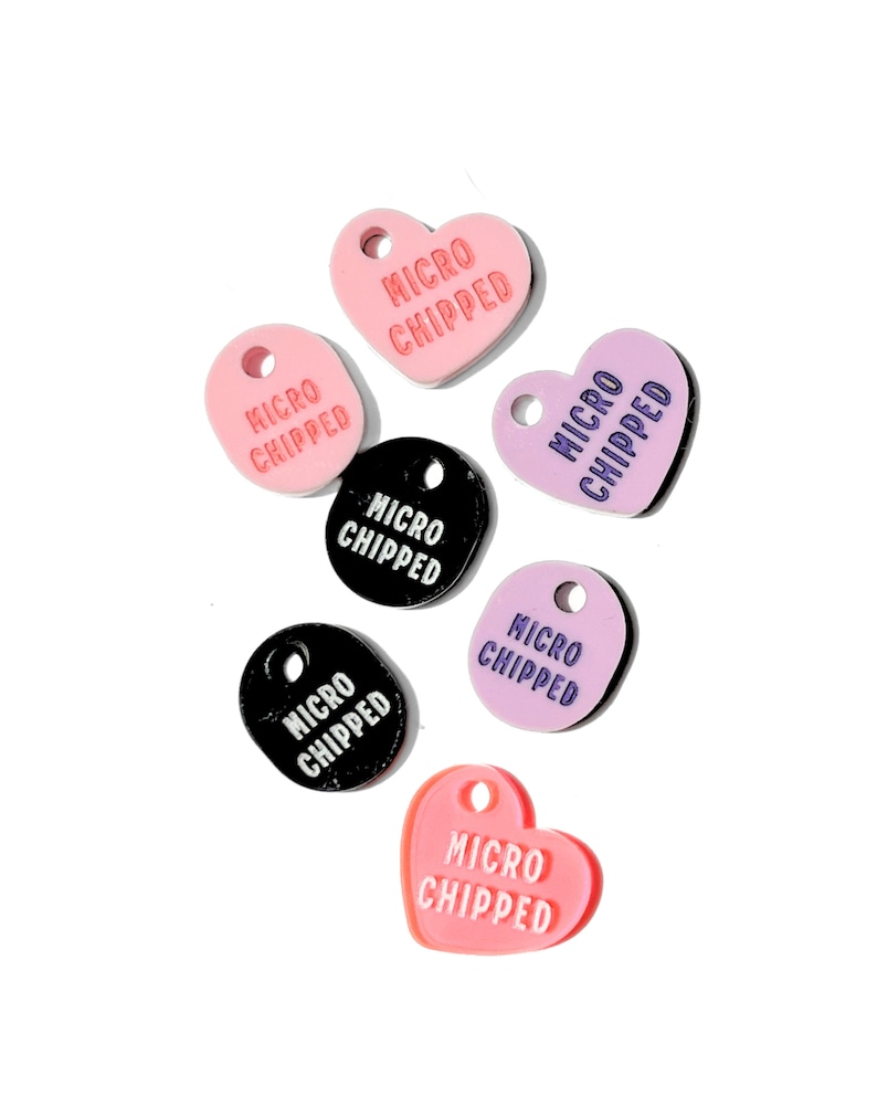 Small, Custom Pet ID Tags, Labels, Micro Chipped, Tracker, CatID Tag, Dog ID Tag