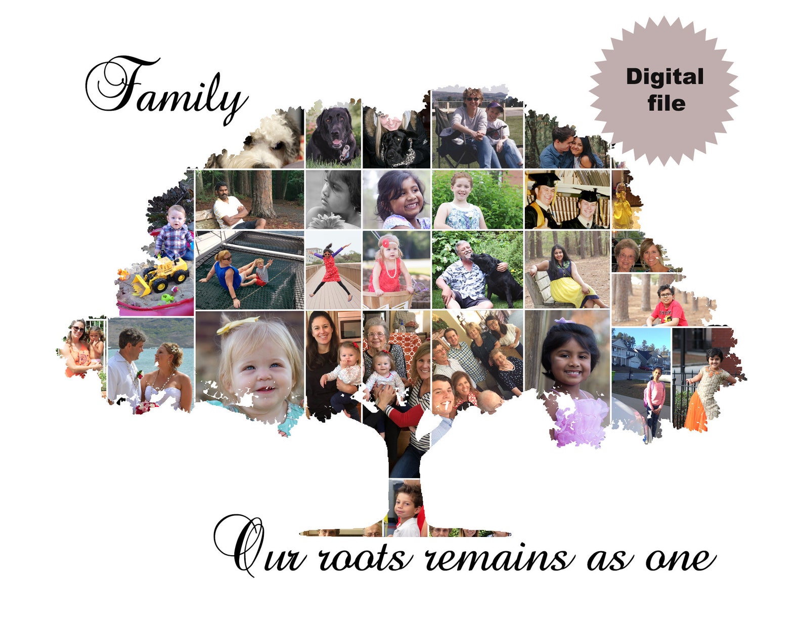 Family Tree Photo Collage Custom Family Tree Print Digital Etsy Australia