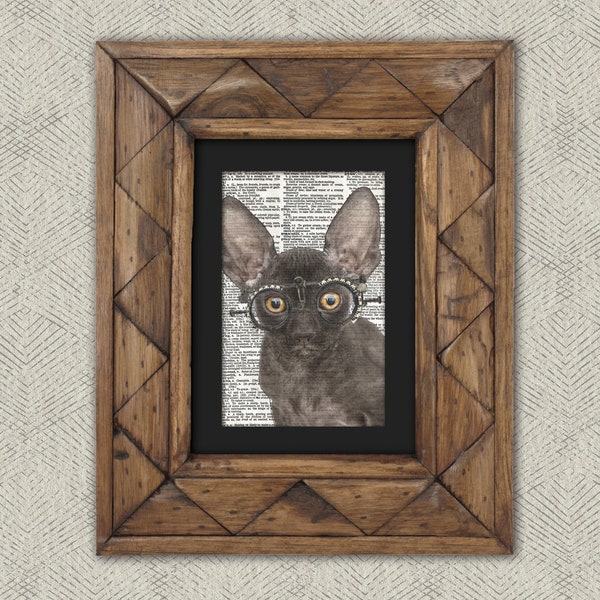 Dictionary Print: Shrewd Black Cornish Rex Cat in Glasses, Steampunk Cat Artwork - Great Gift for Cat Lovers!