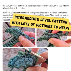 May include: A crochet pattern document featuring text instructions and three photographs showing the process of attaching green yarn frills to a head. The text includes the phrase INTERMEDIATE LEVEL PATTERN WITH LOTS OF PICTURES TO HELP!