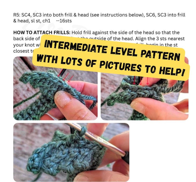 May include: A crochet pattern document featuring text instructions and three photographs showing the process of attaching green yarn frills to a head. The text includes the phrase INTERMEDIATE LEVEL PATTERN WITH LOTS OF PICTURES TO HELP!