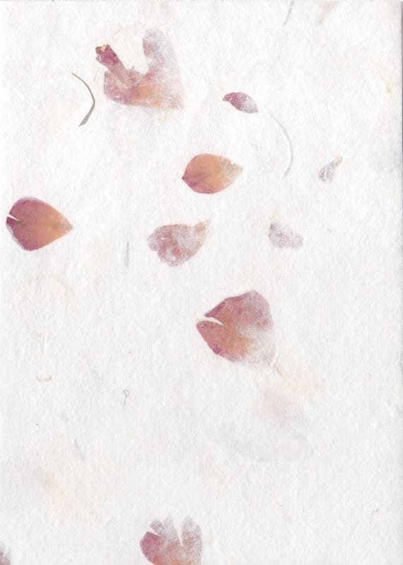 Handmade Paper with Rose Petals 100 5x7 Cards for Etsy
