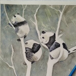 tre panda su un albero. Dipinto acquerello originale. . NO PRINT