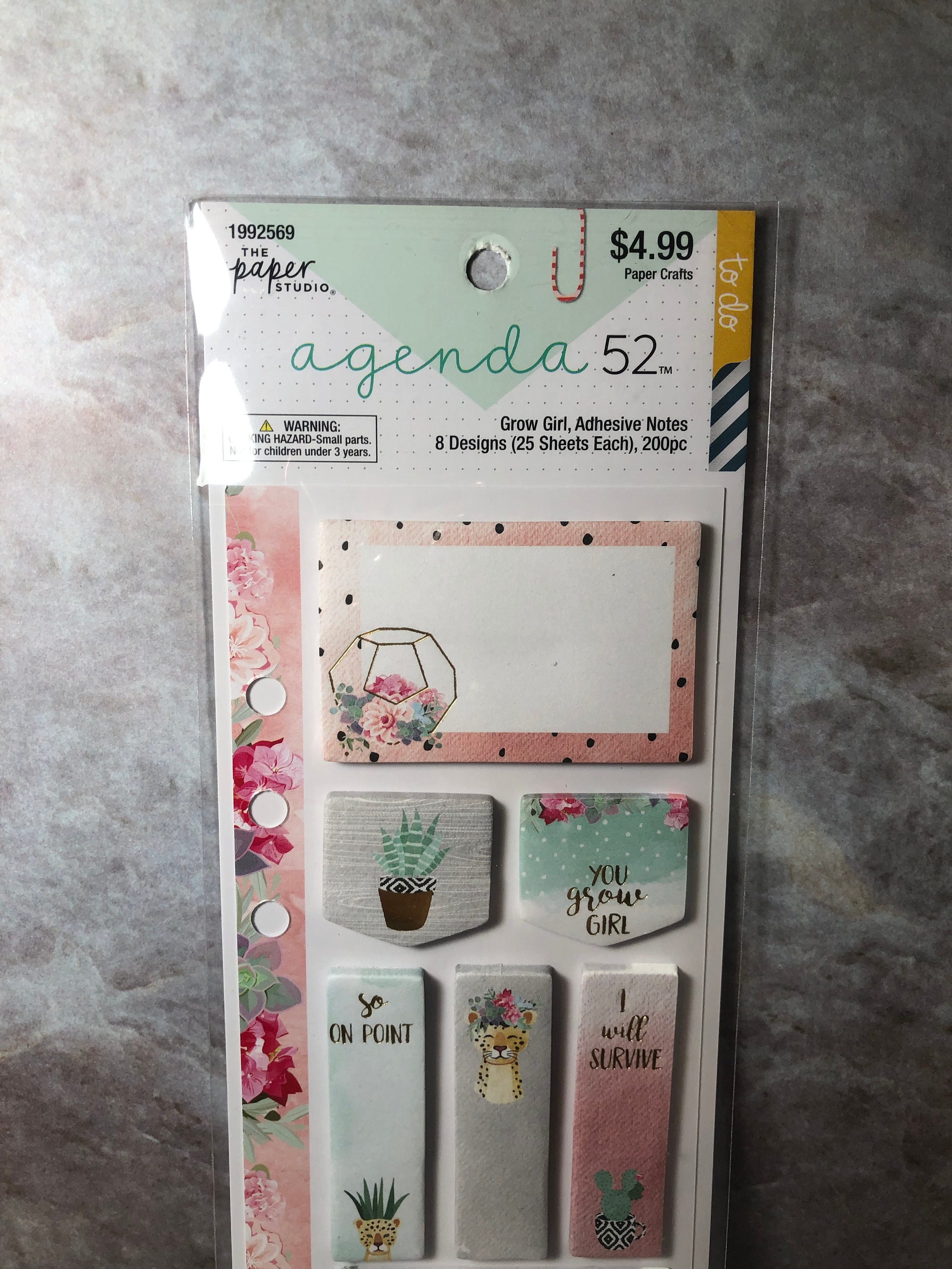 The Paper Studio Agenda 52 Grow Girl Adhesive Notes 