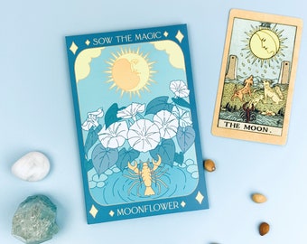 Moonflower Tarot Seed Packet - Does not ship to AZ - Seeds