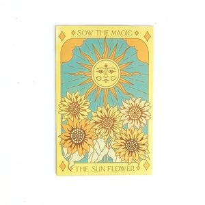 Pacchetto di semi dei tarocchi del girasole (anello di fuoco) - Semi