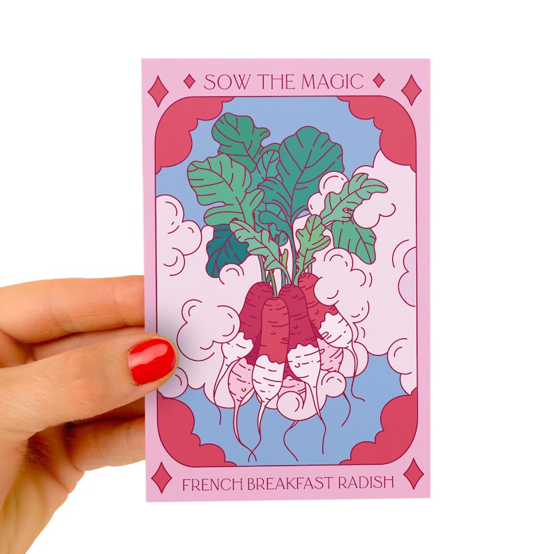 Sow the Magic French Breakfast Radish Seeds - Thumbnail 2