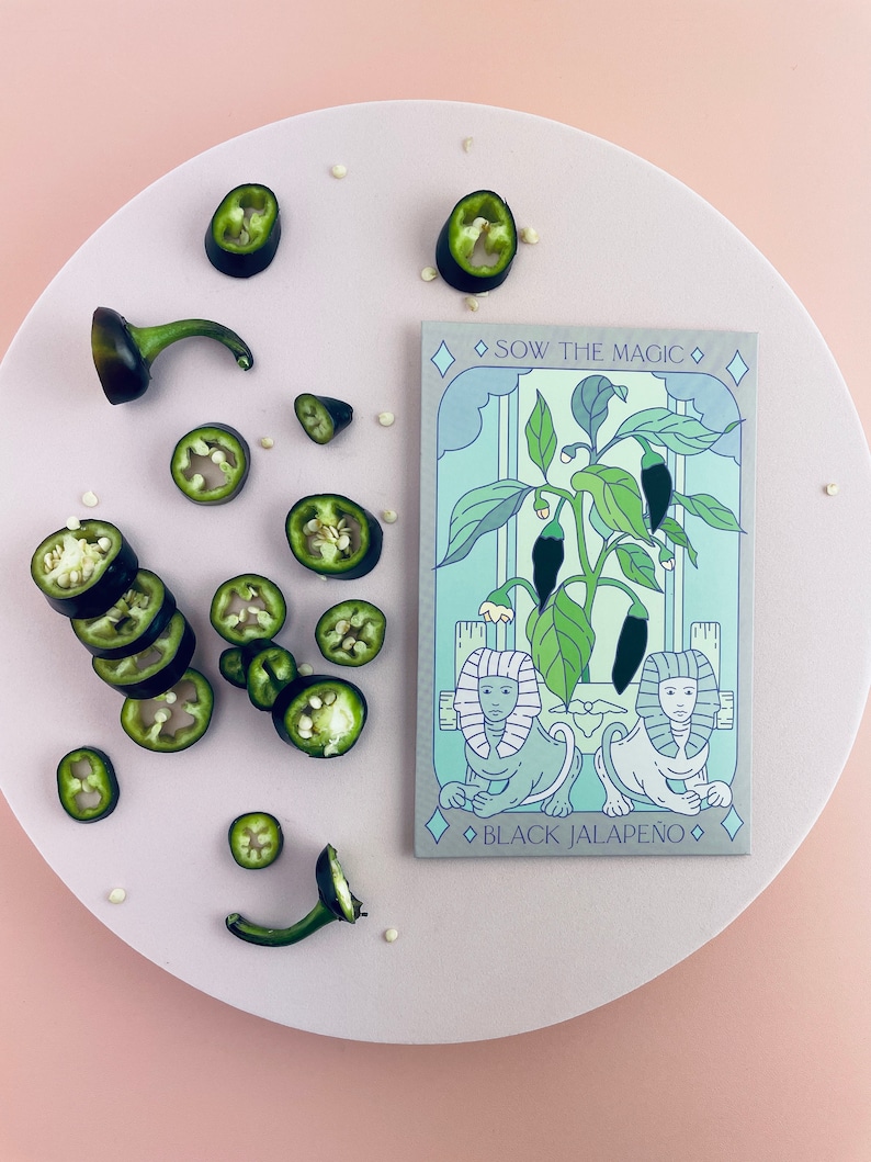 Sow the Magic Hungarian Jalapeño Seed Packet - Thumbnail 4