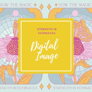 Força em Equinácea Cone Flor Imagem Digital Tarot Flores Pacote de Sementes Bruxa de Jardim - Não para uso comercial