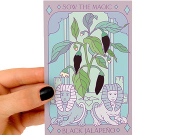 Black Hungarian Jalapeño Tarot Seed Packet - Seeds