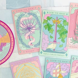 Bouquet Dill Tarot Seed Packet image 5