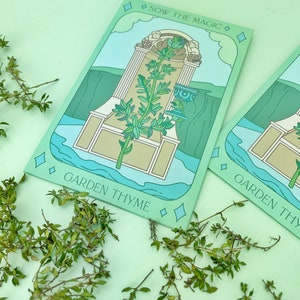 Pacchetto di semi di tarocchi di timo da giardino - Semi