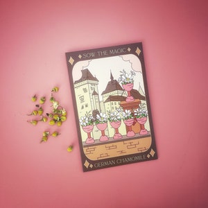 Paquete de semillas de manzanilla alemana para tarot - Semillas