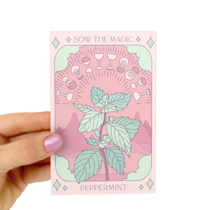 Paquete de semillas de menta y tarot - Semillas