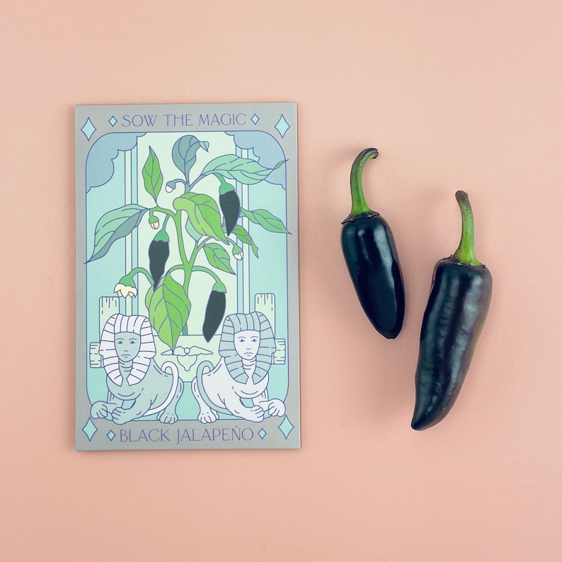Sow the Magic Hungarian Jalapeño Seed Packet - Thumbnail 2