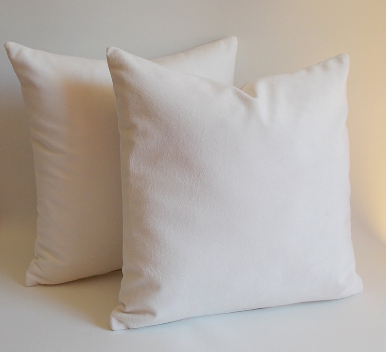 May include: Two white square throw pillows with a soft, smooth texture.