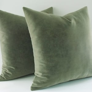 May include: Two green velvet pillow covers. The pillow covers are a soft, muted green color and have a smooth, velvety texture.