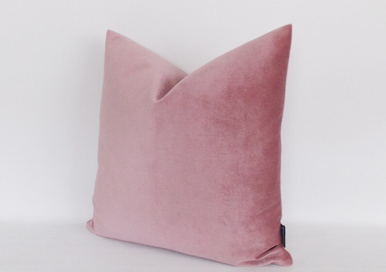 May include: A soft, blush pink velvet pillow cover. The pillow is square and has a simple, elegant design.
