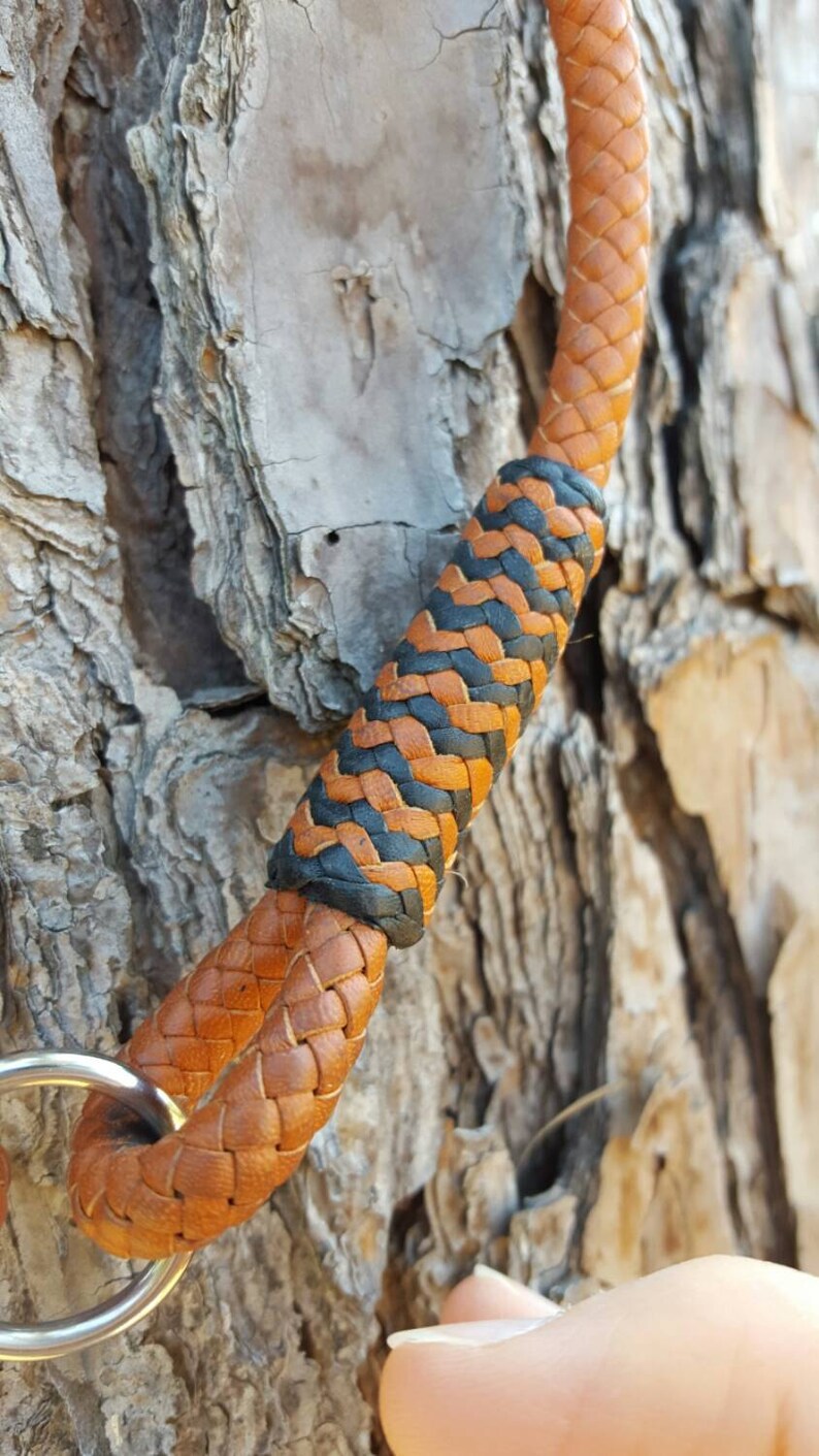 Dog Collar, Kangaroo Leather Etsy