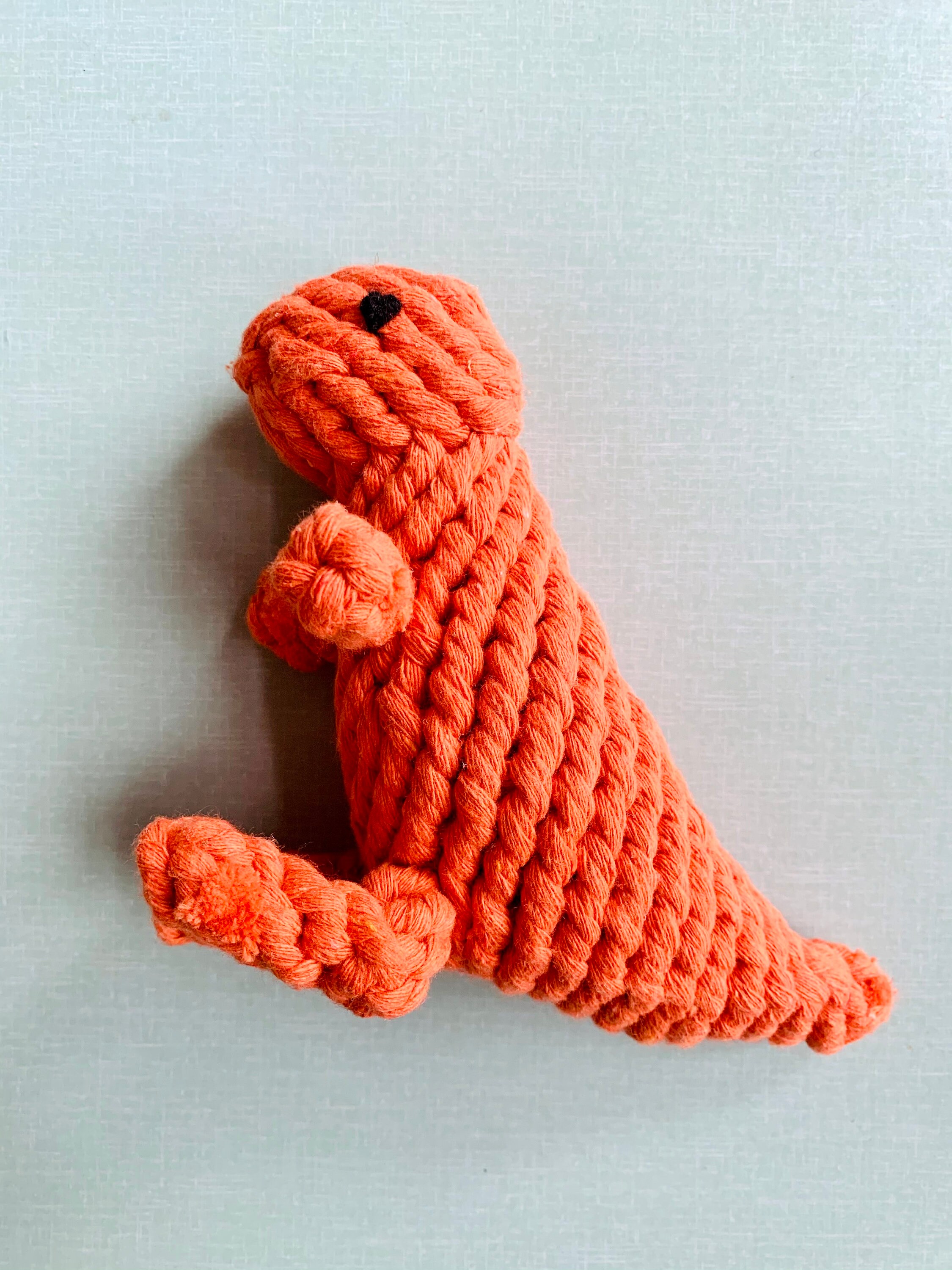 New Eco Friendly Bio Degradable Cotton Rope Orange Dinosaur Etsy UK