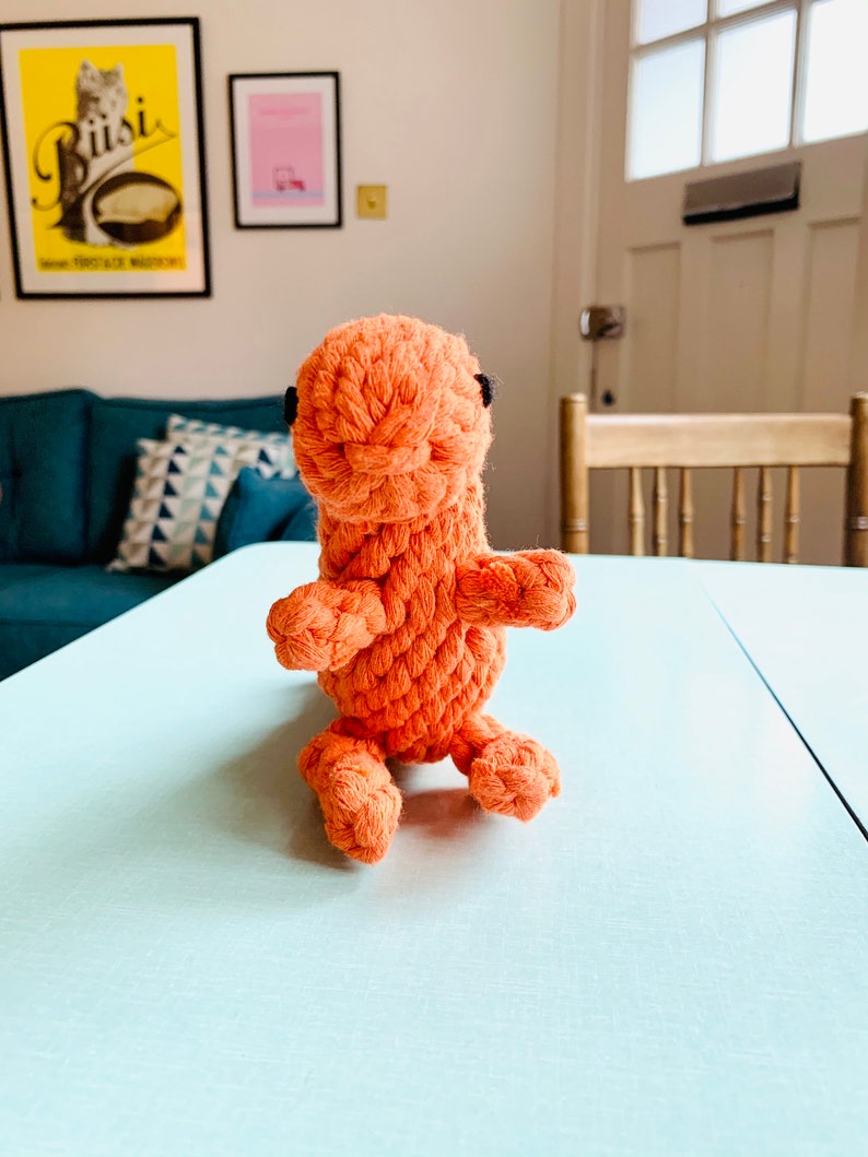 New Eco Friendly Bio Degradable Cotton Rope Orange Dinosaur Etsy