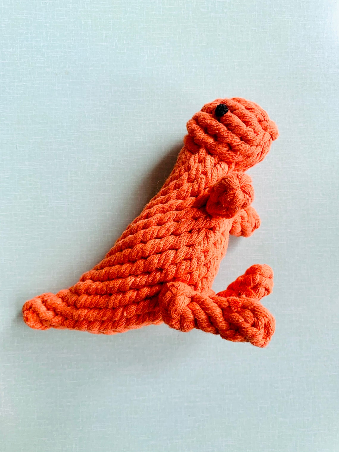 New Eco Friendly Bio Degradable Cotton Rope Orange Dinosaur Etsy
