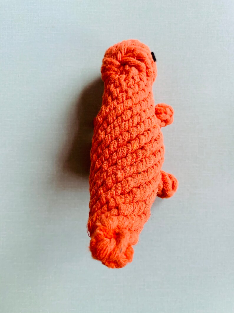 New Eco Friendly Bio Degradable Cotton Rope Orange Dinosaur Etsy