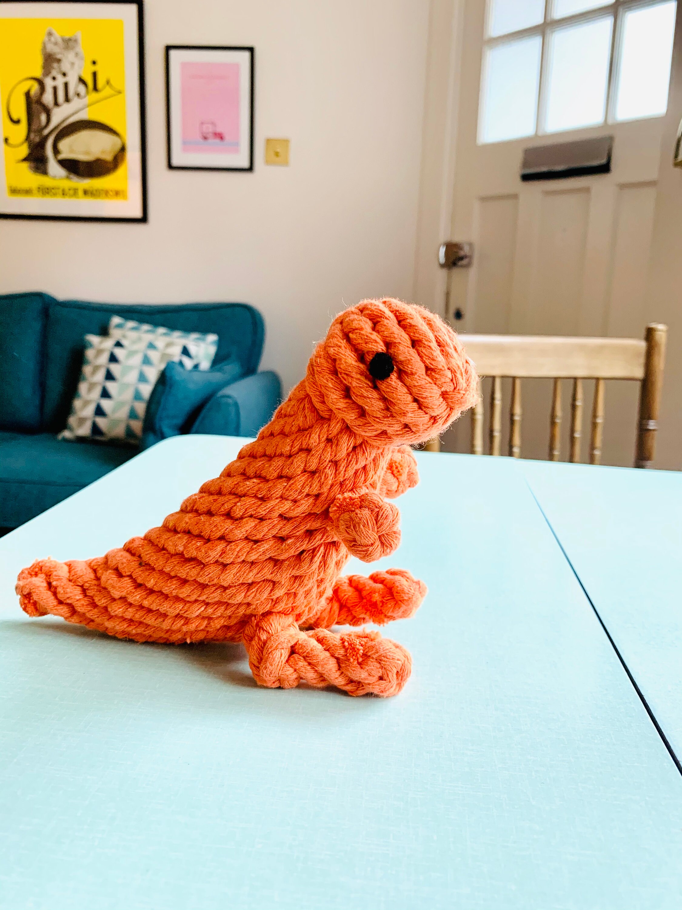 New Eco Friendly Bio Degradable Cotton Rope Orange Dinosaur Etsy UK