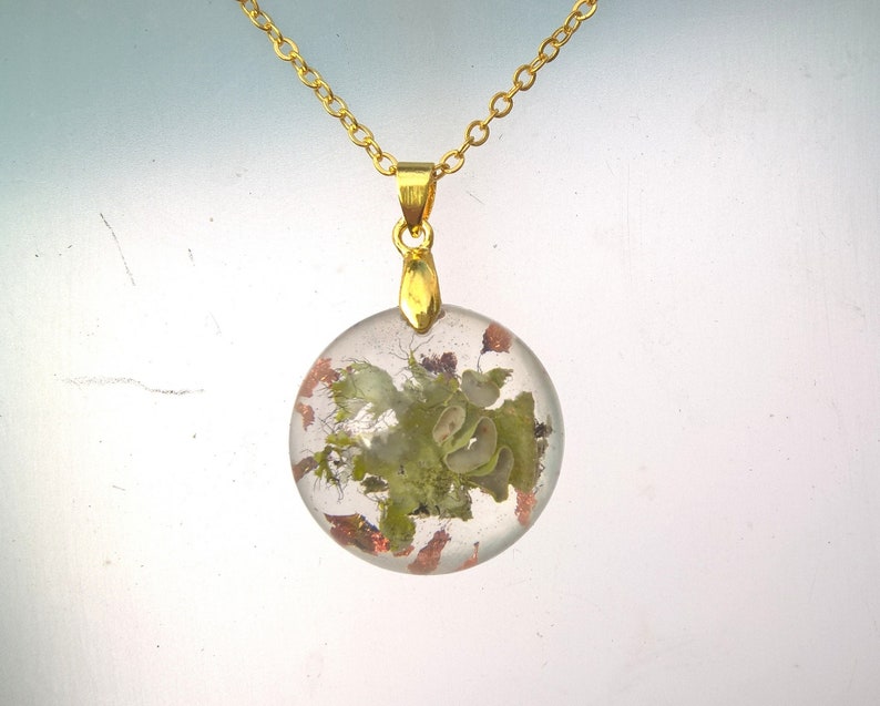 Real Lichen Woodland Resin Nature Round Forest Pendant Necklace image 2